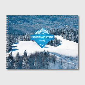 Альбом для рисования с принтом Красная поляна в Кировске, 100% бумага
 | матовая бумага, плотность 200 мг. | горнолыжный курорт | горы | зима | красная поляна | лыжи | парк | роза хуторов | снег | сноутборд | сочи