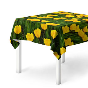 Скатерть 3D с принтом Жёлтые тюльпаны в Кировске, 100% полиэстер (ткань не мнется и не растягивается) | Размер: 150*150 см | поле | цветы | яркий