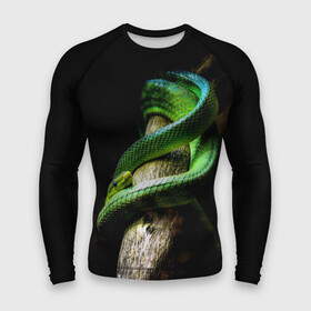 Мужской рашгард 3D с принтом Змея на груди в Кировске,  |  | гадюка | дерево | джунгли | зелёный змей | змея | кобра | природа | удав