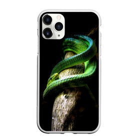 Чехол для iPhone 11 Pro матовый с принтом Змея на груди в Кировске, Силикон |  | гадюка | дерево | джунгли | зелёный змей | змея | кобра | природа | удав