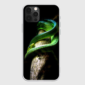 Чехол для iPhone 12 Pro Max с принтом Змея на груди в Кировске, Силикон |  | гадюка | дерево | джунгли | зелёный змей | змея | кобра | природа | удав