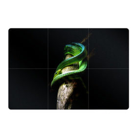 Магнитный плакат 3Х2 с принтом Змея на груди в Кировске, Полимерный материал с магнитным слоем | 6 деталей размером 9*9 см | гадюка | дерево | джунгли | зелёный змей | змея | кобра | природа | удав