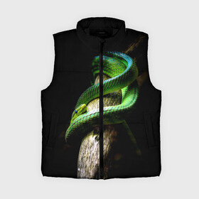 Женский жилет утепленный 3D с принтом Змея на груди в Кировске,  |  | гадюка | дерево | джунгли | зелёный змей | змея | кобра | природа | удав