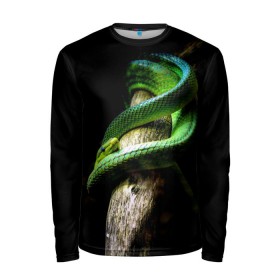 Мужской лонгслив 3D с принтом Змея на груди в Кировске, 100% полиэстер | длинные рукава, круглый вырез горловины, полуприлегающий силуэт | гадюка | дерево | джунгли | зелёный змей | змея | кобра | природа | удав