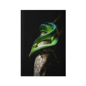 Обложка для паспорта матовая кожа с принтом Змея на груди в Кировске, натуральная матовая кожа | размер 19,3 х 13,7 см; прозрачные пластиковые крепления | гадюка | дерево | джунгли | зелёный змей | змея | кобра | природа | удав