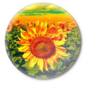 Значок с принтом Подсолнухи в Кировске,  металл | круглая форма, металлическая застежка в виде булавки | лето | подсолнух | поле | природа | цветок | яркая