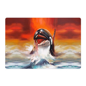 Магнитный плакат 3Х2 с принтом Касатка в Кировске, Полимерный материал с магнитным слоем | 6 деталей размером 9*9 см | Тематика изображения на принте: art | blood | bright | color | creative | fantasy | ocean | orca whale | paint | picture | predator | sea | искусство | картина | касатка | кит | краски | кровь | море | океан | творчество | фантазия | хищник | цвет | яркие