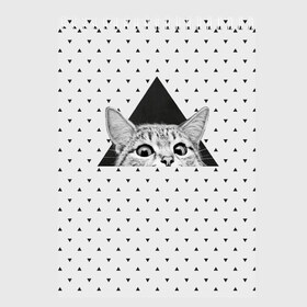Скетчбук с принтом Взгляд кота в Кировске, 100% бумага
 | 48 листов, плотность листов — 100 г/м2, плотность картонной обложки — 250 г/м2. Листы скреплены сверху удобной пружинной спиралью | animal | beast | cat | feline | kitty | meow | triangle | взгляд | геометрия | животное | зверь | китти | кот | котенок | кошка | мяу | треугольник