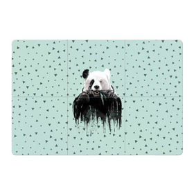 Магнитный плакат 3Х2 с принтом Панда-художник в Кировске, Полимерный материал с магнитным слоем | 6 деталей размером 9*9 см | animal | art | artist | bear | beast | design | panda | style | арт | дизайн | животное | зверь | кисть | краски | медведь | панда | стиль | художник