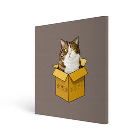 Холст квадратный с принтом Maru в Кировске, 100% ПВХ |  | cat | maru | коробка | кот в коробке | кот мару | котейка | кошка | мару | прикол