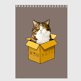 Скетчбук с принтом Maru в Кировске, 100% бумага
 | 48 листов, плотность листов — 100 г/м2, плотность картонной обложки — 250 г/м2. Листы скреплены сверху удобной пружинной спиралью | cat | maru | коробка | кот в коробке | кот мару | котейка | кошка | мару | прикол