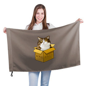 Флаг 3D с принтом Maru в Кировске, 100% полиэстер | плотность ткани — 95 г/м2, размер — 67 х 109 см. Принт наносится с одной стороны | cat | maru | коробка | кот в коробке | кот мару | котейка | кошка | мару | прикол