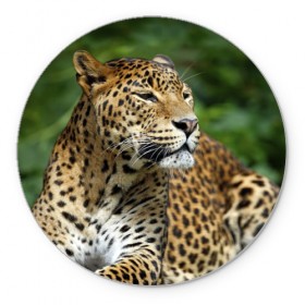 Коврик круглый с принтом Леопард в Кировске, резина и полиэстер | круглая форма, изображение наносится на всю лицевую часть | 