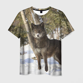Мужская футболка 3D с принтом Король леса в Кировске, 100% полиэфир | прямой крой, круглый вырез горловины, длина до линии бедер | волки | животные | зима | зимние | картинки | снег | фото