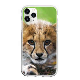 Чехол для iPhone 11 Pro Max матовый с принтом Котёнок гепарда в Кировске, Силикон |  | гепард | дикая кошка | котёнок | кошка | лев | природа | тигр | хищник | ягуар