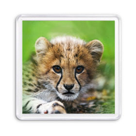 Магнит 55*55 с принтом Котёнок гепарда в Кировске, Пластик | Размер: 65*65 мм; Размер печати: 55*55 мм | гепард | дикая кошка | котёнок | кошка | лев | природа | тигр | хищник | ягуар