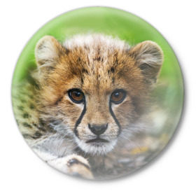 Значок с принтом Котёнок гепарда в Кировске,  металл | круглая форма, металлическая застежка в виде булавки | Тематика изображения на принте: гепард | дикая кошка | котёнок | кошка | лев | природа | тигр | хищник | ягуар