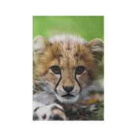 Обложка для паспорта матовая кожа с принтом Котёнок гепарда в Кировске, натуральная матовая кожа | размер 19,3 х 13,7 см; прозрачные пластиковые крепления | Тематика изображения на принте: гепард | дикая кошка | котёнок | кошка | лев | природа | тигр | хищник | ягуар