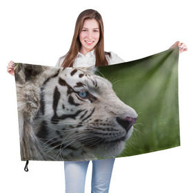 Флаг 3D с принтом Белый тигр в Кировске, 100% полиэстер | плотность ткани — 95 г/м2, размер — 67 х 109 см. Принт наносится с одной стороны | абессинкая | домашние | животные | кот | котенок | кошка | порода | сиамская | тигр | хищник