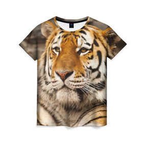 Женская футболка 3D с принтом Тигр в Кировске, 100% полиэфир ( синтетическое хлопкоподобное полотно) | прямой крой, круглый вырез горловины, длина до линии бедер | амурский | животные | киса | кот | котенок | кошка | пума | рысь | серый | тигр | хищник