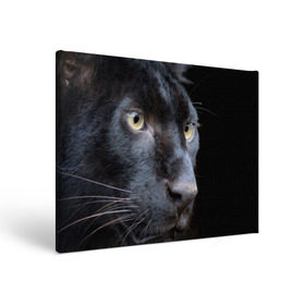 Холст прямоугольный с принтом Черная пантера в Кировске, 100% ПВХ |  | Тематика изображения на принте: животные | кис | киска | кот | котенок | котик | кошечка | кошка | пантера | рысь | тигр | хищник