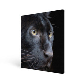 Холст квадратный с принтом Черная пантера в Кировске, 100% ПВХ |  | животные | кис | киска | кот | котенок | котик | кошечка | кошка | пантера | рысь | тигр | хищник