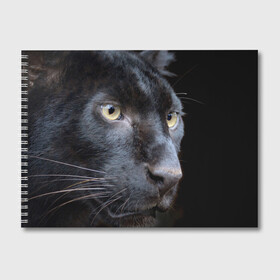 Альбом для рисования с принтом Черная пантера в Кировске, 100% бумага
 | матовая бумага, плотность 200 мг. | Тематика изображения на принте: животные | кис | киска | кот | котенок | котик | кошечка | кошка | пантера | рысь | тигр | хищник