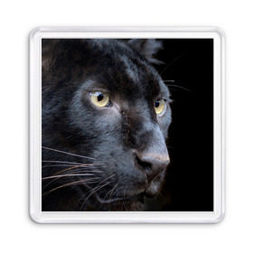 Магнит 55*55 с принтом Черная пантера в Кировске, Пластик | Размер: 65*65 мм; Размер печати: 55*55 мм | Тематика изображения на принте: животные | кис | киска | кот | котенок | котик | кошечка | кошка | пантера | рысь | тигр | хищник