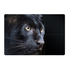 Магнитный плакат 3Х2 с принтом Черная пантера в Кировске, Полимерный материал с магнитным слоем | 6 деталей размером 9*9 см | животные | кис | киска | кот | котенок | котик | кошечка | кошка | пантера | рысь | тигр | хищник