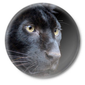 Значок с принтом Черная пантера в Кировске,  металл | круглая форма, металлическая застежка в виде булавки | Тематика изображения на принте: животные | кис | киска | кот | котенок | котик | кошечка | кошка | пантера | рысь | тигр | хищник