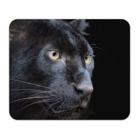 Коврик прямоугольный с принтом Черная пантера в Кировске, натуральный каучук | размер 230 х 185 мм; запечатка лицевой стороны | Тематика изображения на принте: животные | кис | киска | кот | котенок | котик | кошечка | кошка | пантера | рысь | тигр | хищник