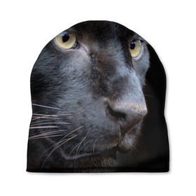 Шапка 3D с принтом Черная пантера в Кировске, 100% полиэстер | универсальный размер, печать по всей поверхности изделия | животные | кис | киска | кот | котенок | котик | кошечка | кошка | пантера | рысь | тигр | хищник