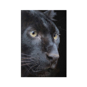 Обложка для паспорта матовая кожа с принтом Черная пантера в Кировске, натуральная матовая кожа | размер 19,3 х 13,7 см; прозрачные пластиковые крепления | Тематика изображения на принте: животные | кис | киска | кот | котенок | котик | кошечка | кошка | пантера | рысь | тигр | хищник