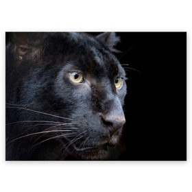 Поздравительная открытка с принтом Черная пантера в Кировске, 100% бумага | плотность бумаги 280 г/м2, матовая, на обратной стороне линовка и место для марки
 | животные | кис | киска | кот | котенок | котик | кошечка | кошка | пантера | рысь | тигр | хищник