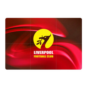 Магнитный плакат 3Х2 с принтом Liverpool в Кировске, Полимерный материал с магнитным слоем | 6 деталей размером 9*9 см | football | англия | ливерпуль | премьер лига | фанат | футбол | футболист