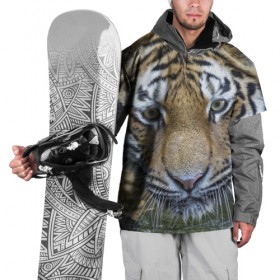 Накидка на куртку 3D с принтом Тигр в Кировске, 100% полиэстер |  | животные | кошка | лев | тигр | тигренок | тигрица | хищник