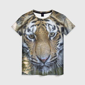 Женская футболка 3D с принтом Тигр в Кировске, 100% полиэфир ( синтетическое хлопкоподобное полотно) | прямой крой, круглый вырез горловины, длина до линии бедер | животные | кошка | лев | тигр | тигренок | тигрица | хищник