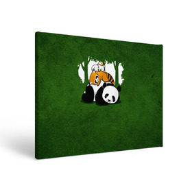 Холст прямоугольный с принтом Милая панда в Кировске, 100% ПВХ |  | Тематика изображения на принте: большая | джунгли | енот | зайка | милая | панда | пушистая