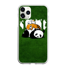 Чехол для iPhone 11 Pro матовый с принтом Милая панда в Кировске, Силикон |  | большая | джунгли | енот | зайка | милая | панда | пушистая