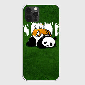 Чехол для iPhone 12 Pro Max с принтом Милая панда в Кировске, Силикон |  | Тематика изображения на принте: большая | джунгли | енот | зайка | милая | панда | пушистая