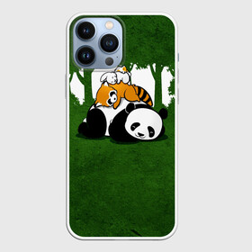 Чехол для iPhone 13 Pro Max с принтом Милая панда в Кировске,  |  | большая | джунгли | енот | зайка | милая | панда | пушистая