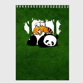 Скетчбук с принтом Милая панда в Кировске, 100% бумага
 | 48 листов, плотность листов — 100 г/м2, плотность картонной обложки — 250 г/м2. Листы скреплены сверху удобной пружинной спиралью | большая | джунгли | енот | зайка | милая | панда | пушистая