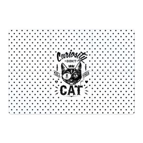 Магнитный плакат 3Х2 с принтом Curiosity Cat в Кировске, Полимерный материал с магнитным слоем | 6 деталей размером 9*9 см | Тематика изображения на принте: animal | beast | cat | feline | gangsta | kill | king | kitty | meow | nature | гангстер | животное | зверь | король | кот | котенок | котик | кошка | мяу | природа