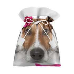 Подарочный 3D мешок с принтом Джек рассел с розой в Кировске, 100% полиэстер | Размер: 29*39 см | волкодав | дворняжка | джек | джек рассел | домашние животные | любимец | мопс | овчарка | пес | песик | питомец | рассел | сенбернар | собака | собачка