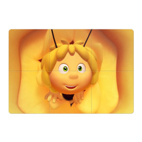 Магнитный плакат 3Х2 с принтом Пчелка Майя в Кировске, Полимерный материал с магнитным слоем | 6 деталей размером 9*9 см | Тематика изображения на принте: пчелка майя