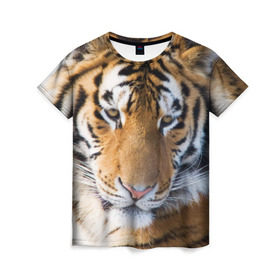 Женская футболка 3D с принтом Тигр в Кировске, 100% полиэфир ( синтетическое хлопкоподобное полотно) | прямой крой, круглый вырез горловины, длина до линии бедер | амурский | животные | киса | кот | котенок | кошка | пума | рысь | серый | тигр | хищник