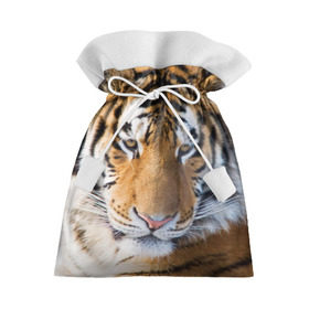 Подарочный 3D мешок с принтом Тигр в Кировске, 100% полиэстер | Размер: 29*39 см | амурский | животные | киса | кот | котенок | кошка | пума | рысь | серый | тигр | хищник