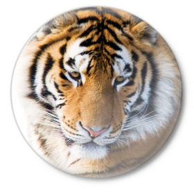 Значок с принтом Тигр в Кировске,  металл | круглая форма, металлическая застежка в виде булавки | Тематика изображения на принте: амурский | животные | киса | кот | котенок | кошка | пума | рысь | серый | тигр | хищник