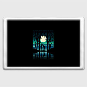 Магнит 45*70 с принтом Ночная природа в Кировске, Пластик | Размер: 78*52 мм; Размер печати: 70*45 | forest | lake | moon | nature | night | star | wood | звезды | лес | луна | ночь | озеро | природа