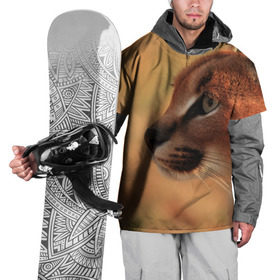 Накидка на куртку 3D с принтом Рысь в Кировске, 100% полиэстер |  | Тематика изображения на принте: амурский | животные | киса | кот | котенок | кошка | пума | рысь | серый | тигр | хищник